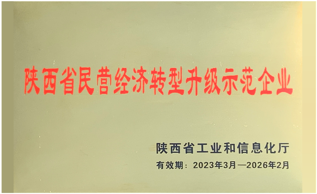 陜西省民營經(jīng)濟轉(zhuǎn)型升級示范企業(yè).png