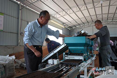 安遠鎮(zhèn)崗鄉(xiāng) 工廠化育秧助力糧食生產(chǎn) 圖