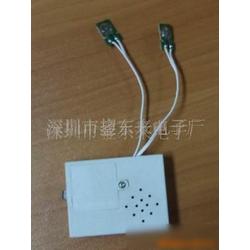 錄音玩具批發(fā) 錄音玩具供應 錄音玩具廠家 