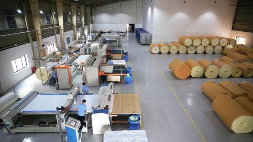 攜手共進，共享發展機遇——海馬牌及軒琴居越南生產工廠開放日錄音制作紀實